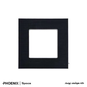 کادر تک خانه Phoenix مدل Space